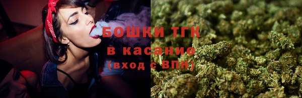 крисы Горнозаводск