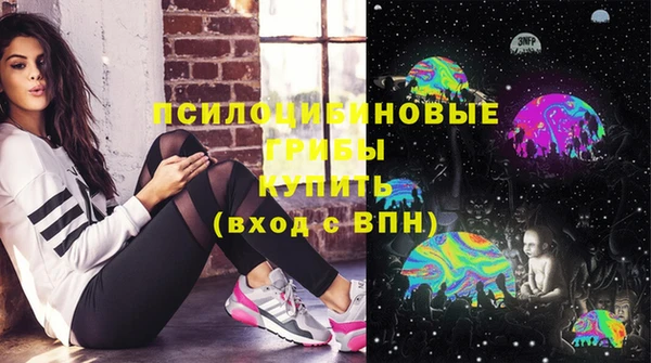 крисы Горнозаводск