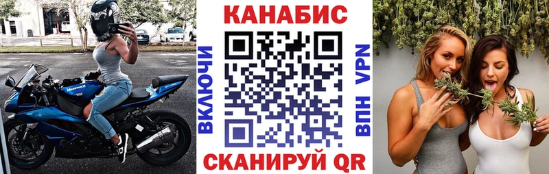 Купить закладки  Орлов  Бошки марихуана сатива 